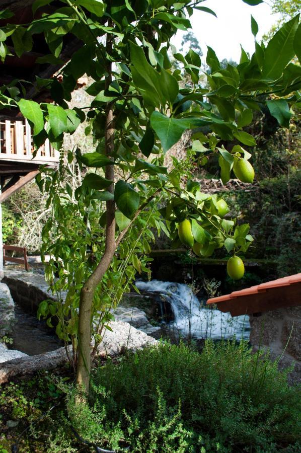 Quinta Das Bollotas Villa Fafe Buitenkant foto