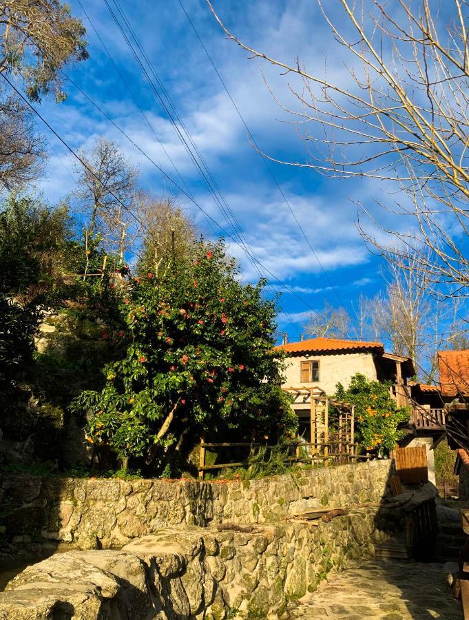 Quinta Das Bollotas Villa Fafe Buitenkant foto
